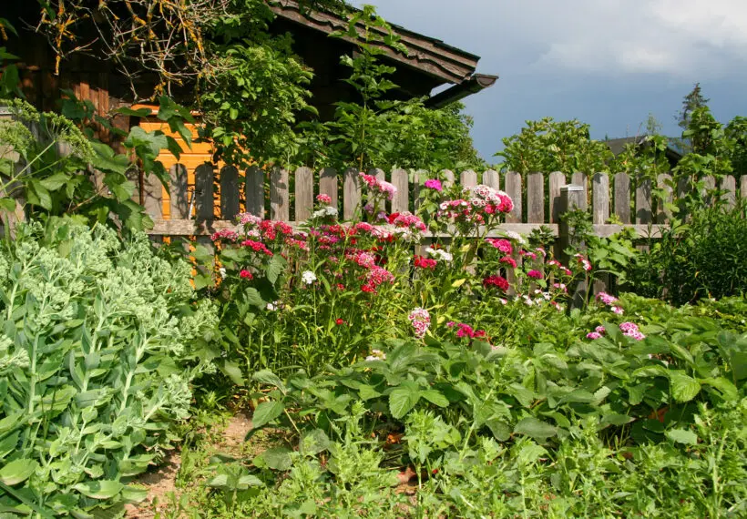 Garten - Leit'n Franz, Pension in Ramsau am Dachstein