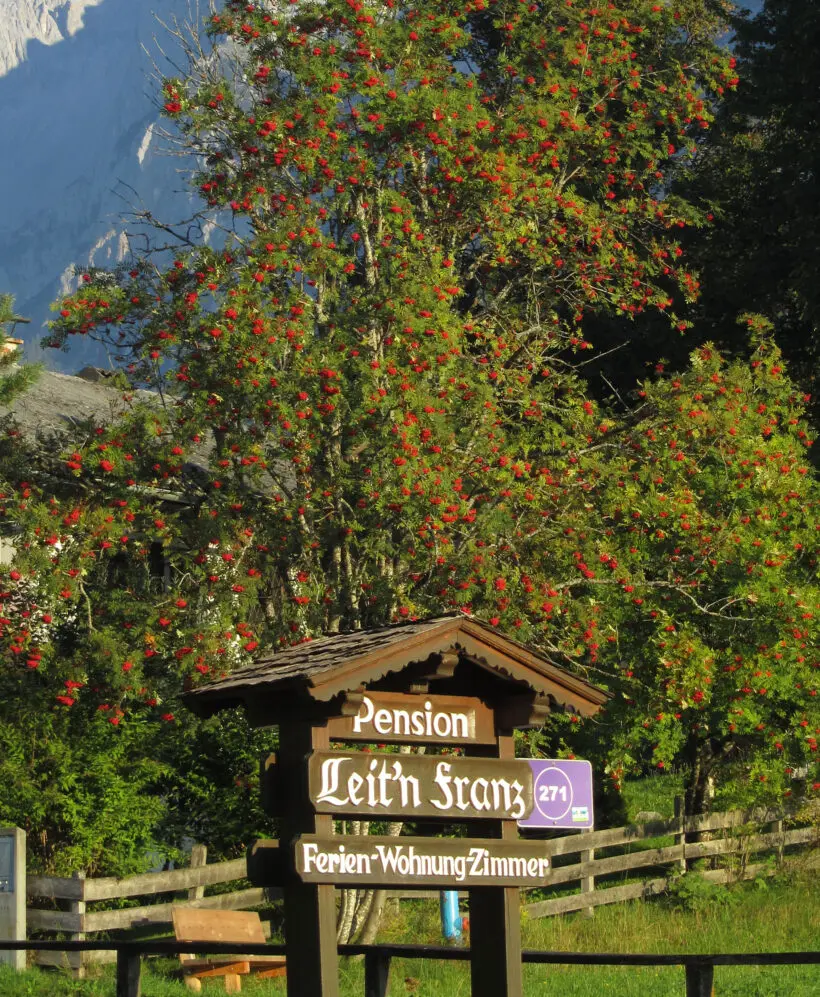 Pension Leit'n Franz Pension Leit'n Franz