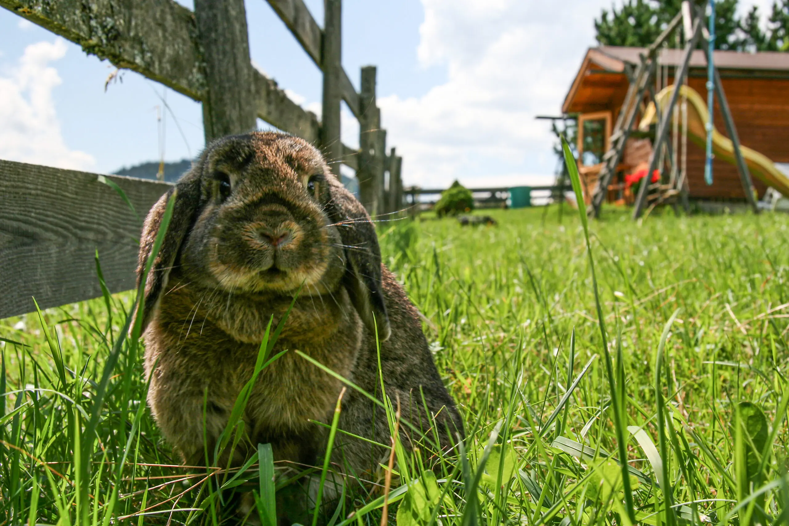 Pension Ramsau Dachstein 4 Pension Ramsau Dachstein 4