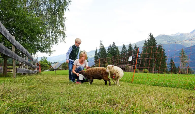 Zwergschafe - Leit'n Franz, Pension in Ramsau am Dachstein