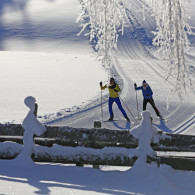 Langlaufen - Schladming-Dachstein - Ramsau