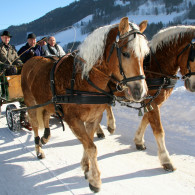 Pferdekutschenfahrt - Schladming-Dachstein - Ramsau