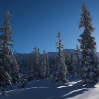 Winterlandschaft - Schladming-Dachstein - Ramsau